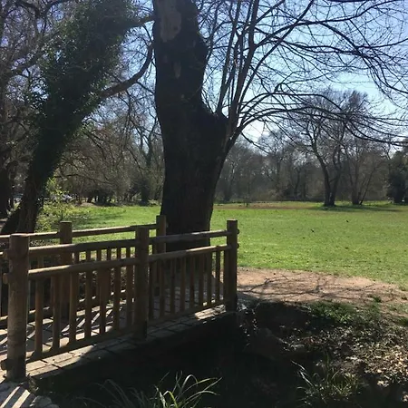 Royal Park Apartment